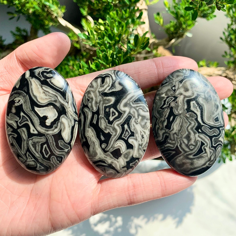 Home Decor Brand - Wholesale Black Crazy Agate Plate Palm