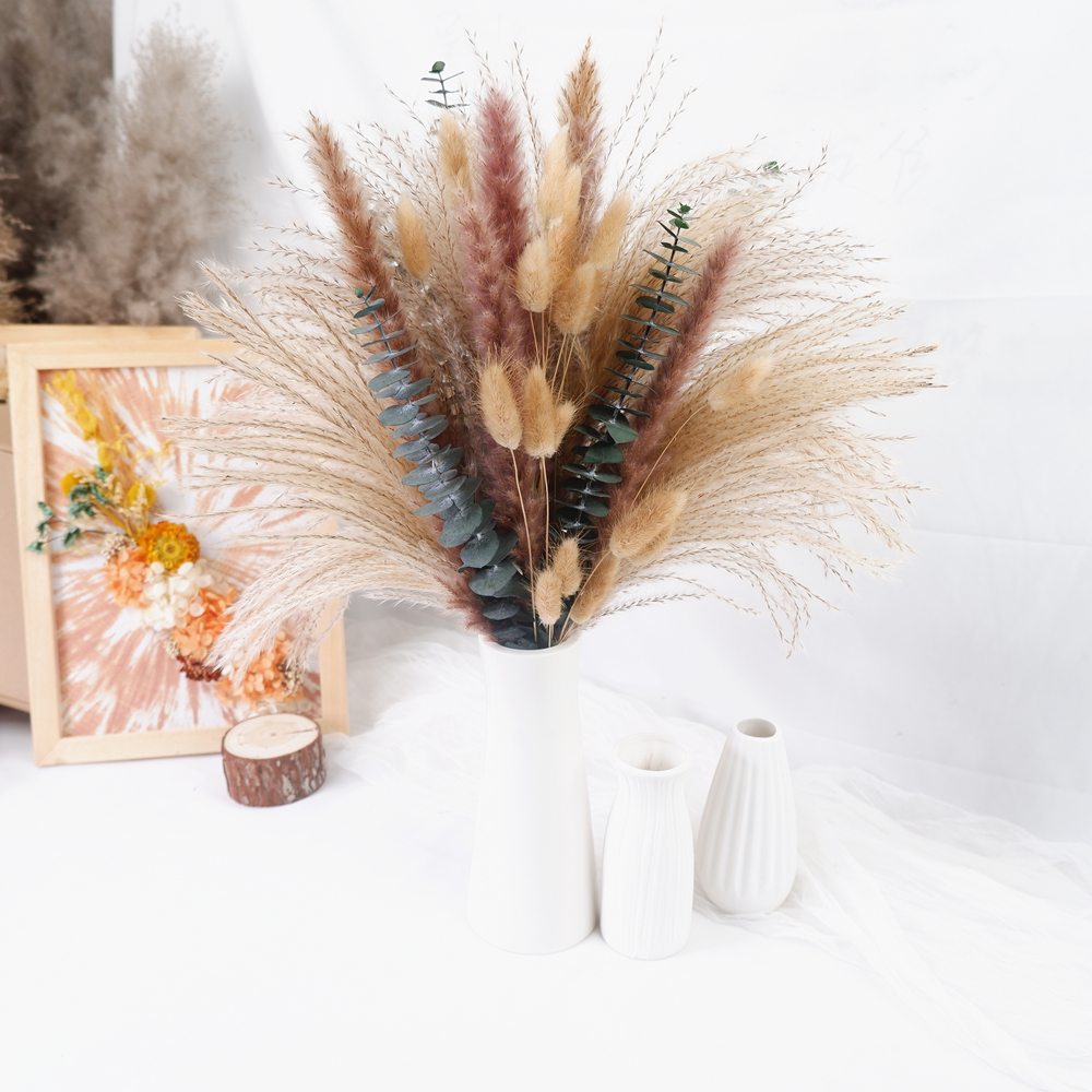 Pampas Grass Decor - 60-Piece Dried Flower & Pampas Grass