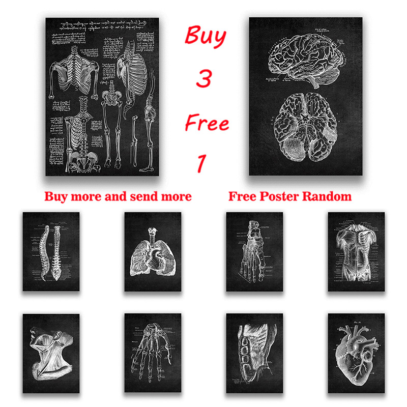 Home Decor Brand - Brain Medical Print Human Head Anatomy