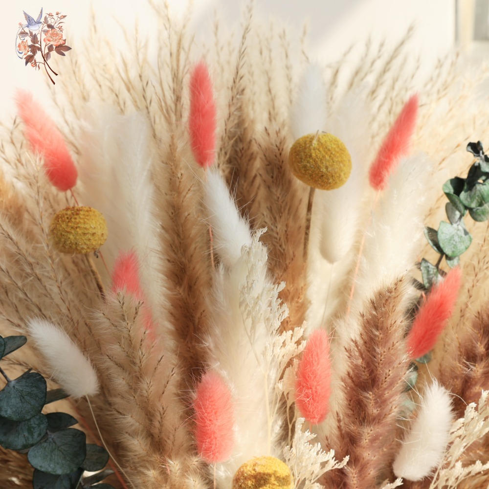 Pink Eternal Dried Flowers Bou - Pampas Grass Decor ulasan dan harga