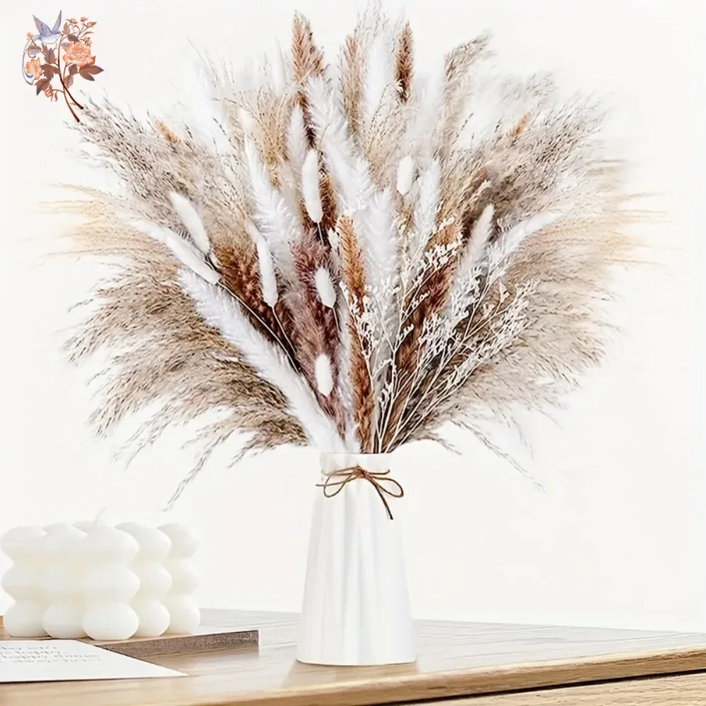 60 Pieces Dried Pampas Grass F - Pampas Grass Decor ulasan dan harga