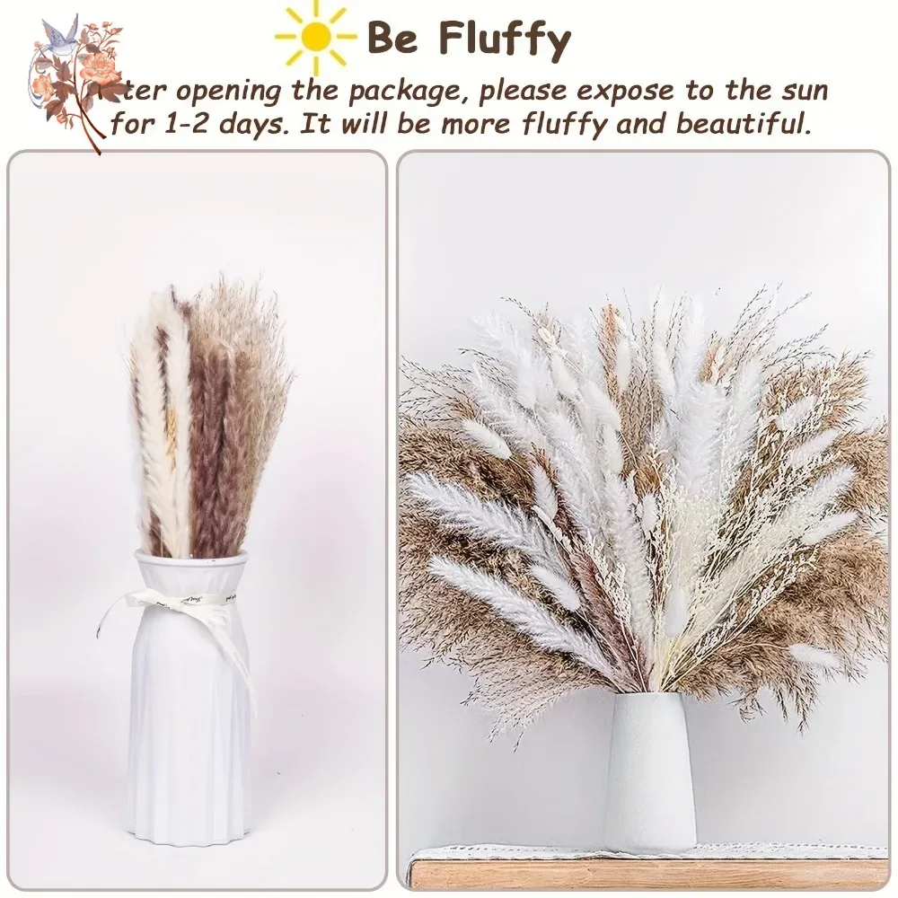 60 Pieces Dried Pampas Grass F - Pampas Grass Decor ulasan dan harga