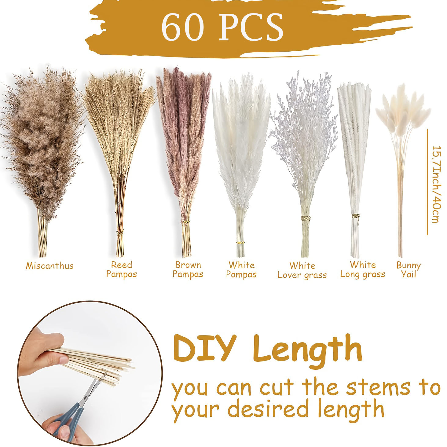 60 Pieces Dried Pampas Grass F - Pampas Grass Decor ulasan dan harga