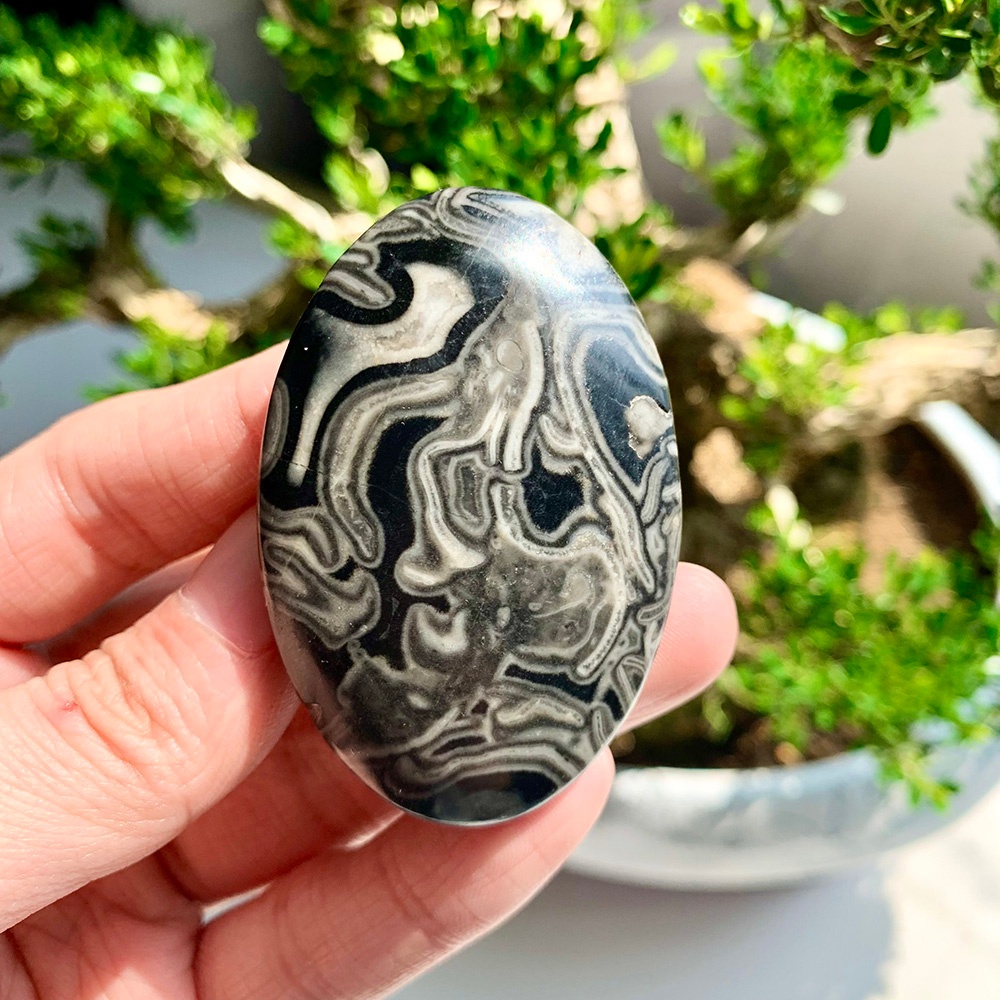 Wholesale Black Crazy Agate Pl - Home Decor Brand ulasan dan harga