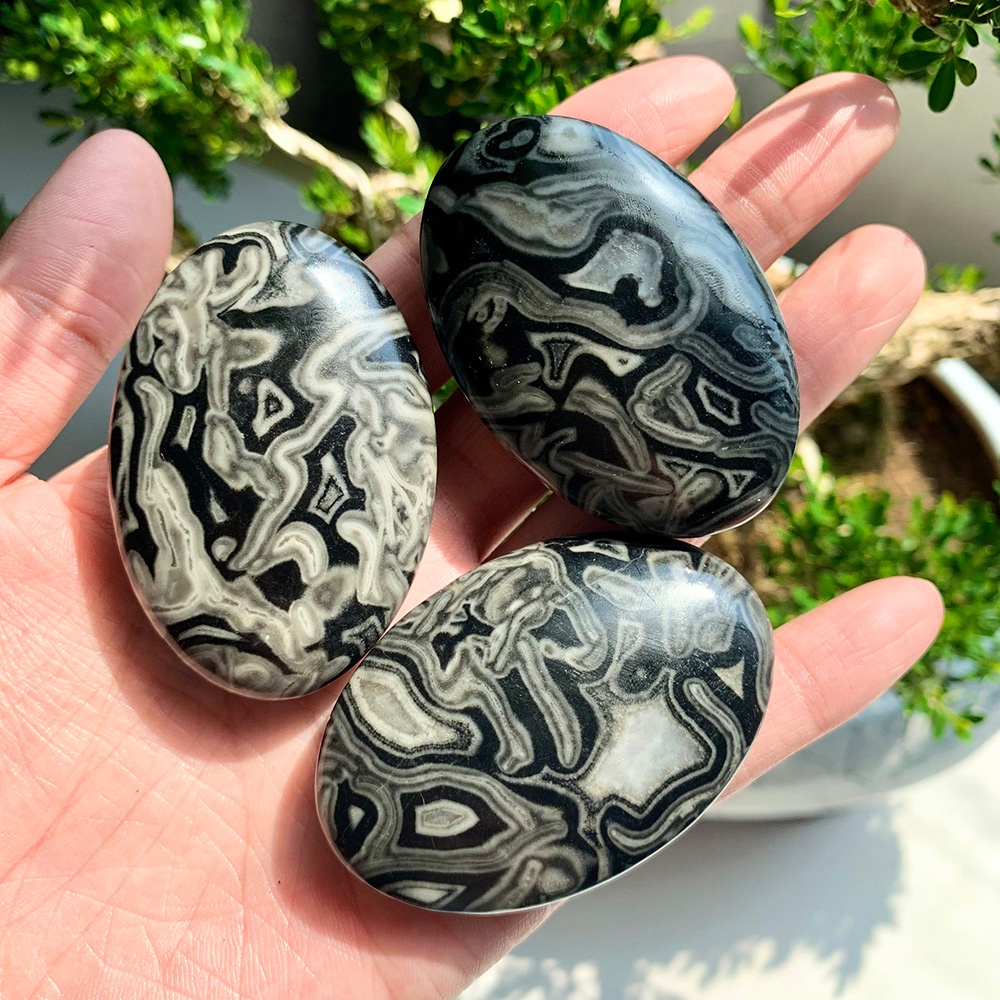 Wholesale Black Crazy Agate Pl - Home Decor Brand ulasan dan harga