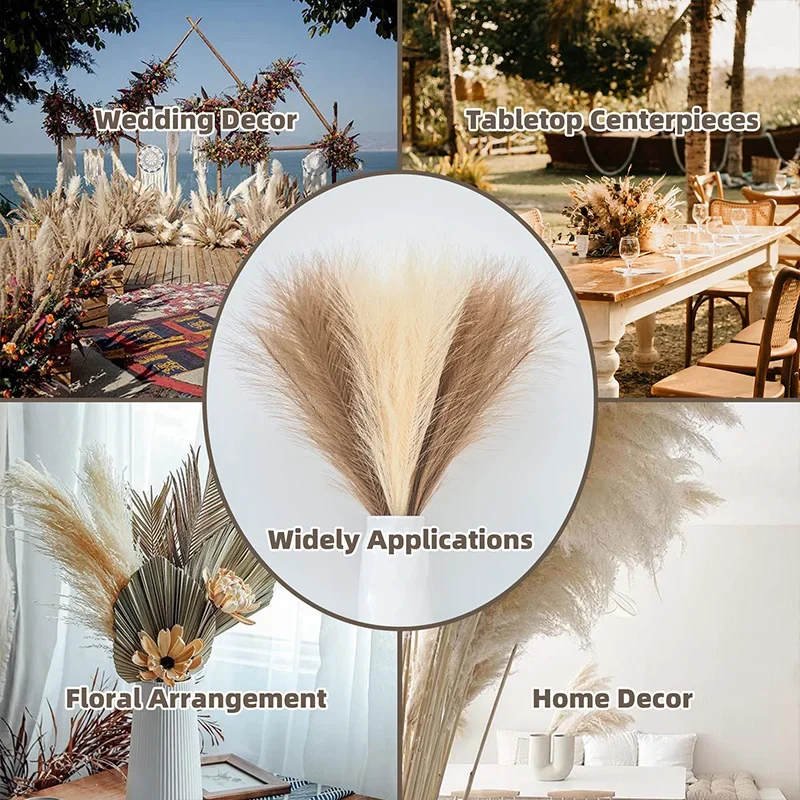 5/10pcs Fluffy Pampas Grass Bo - Pampas Grass Decor ulasan dan harga