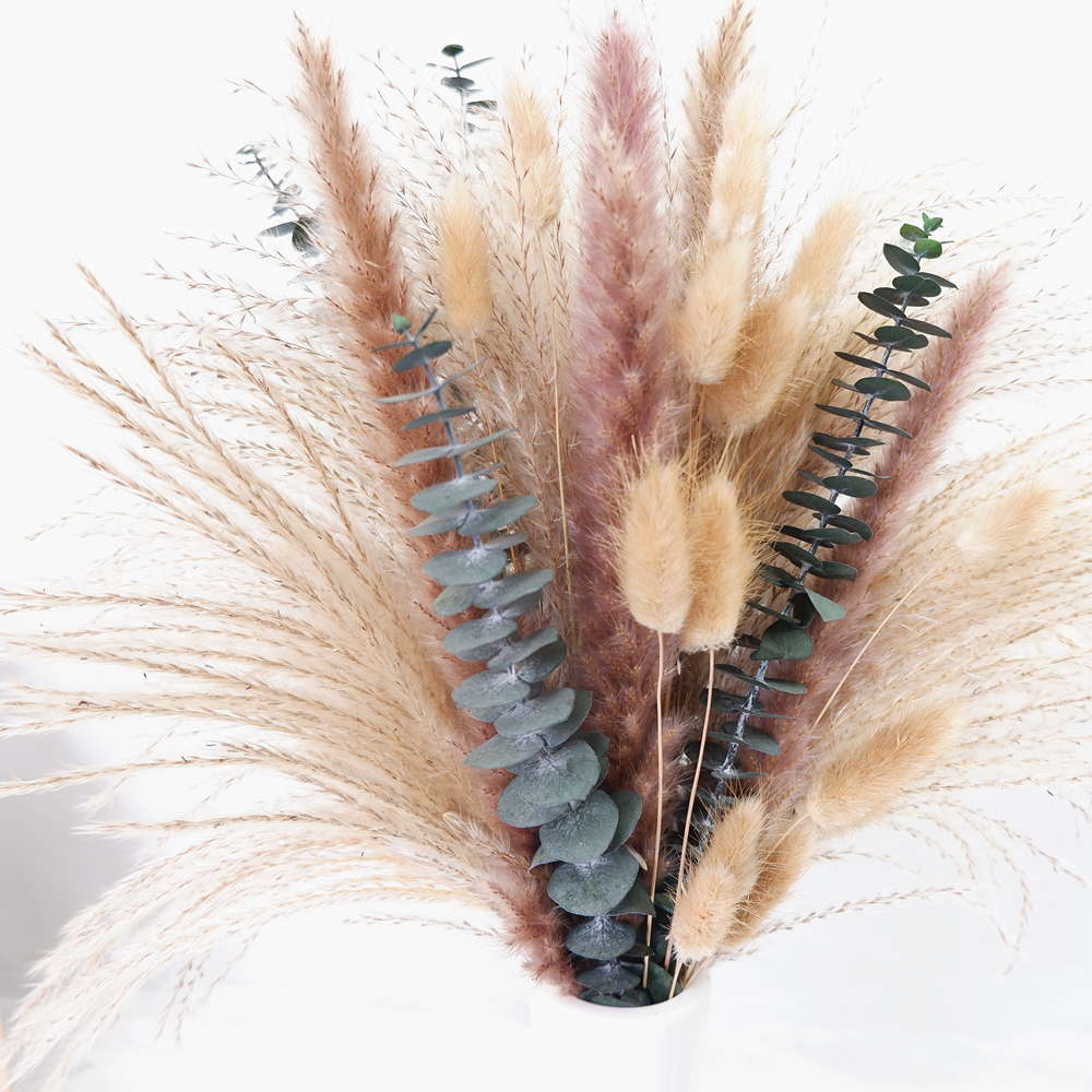 60-Piece Dried Flower & Pampas - Pampas Grass Decor ulasan dan harga