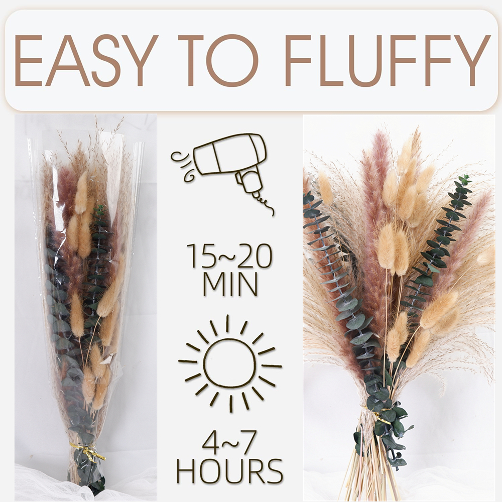 60-Piece Dried Flower & Pampas - Pampas Grass Decor ulasan dan harga