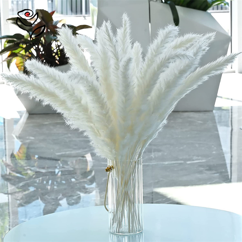 18 Stems Natural Dried Flowers - Pampas Grass Decor ulasan dan harga