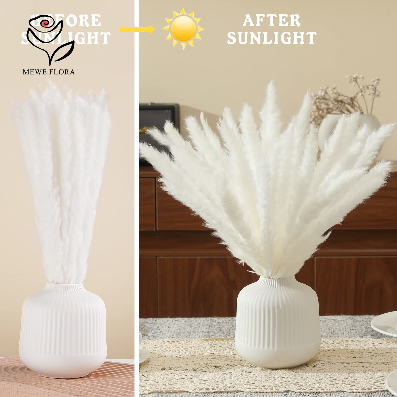 18 Stems Natural Dried Flowers - Pampas Grass Decor ulasan dan harga