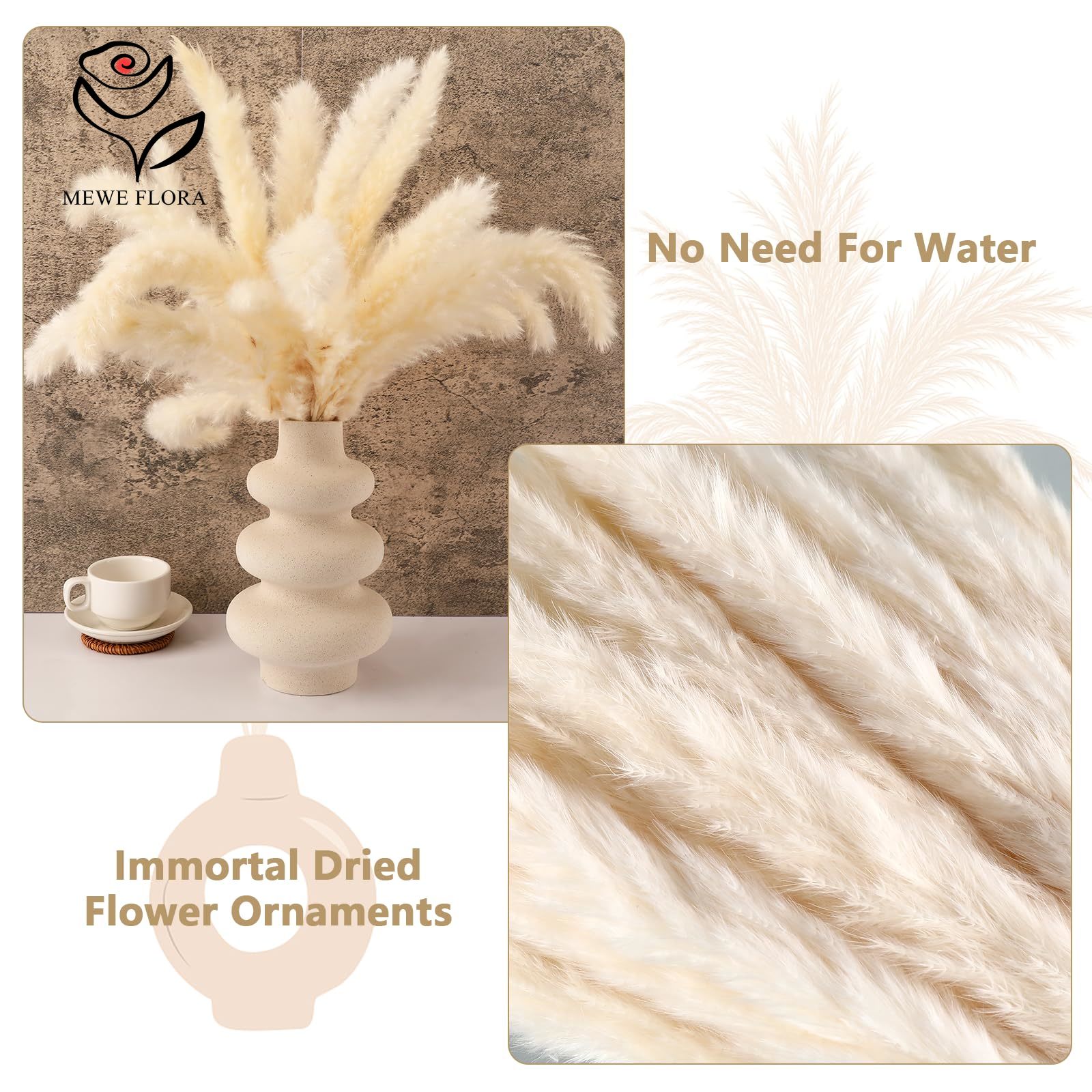 18 Stems Natural Dried Flowers - Pampas Grass Decor ulasan dan harga