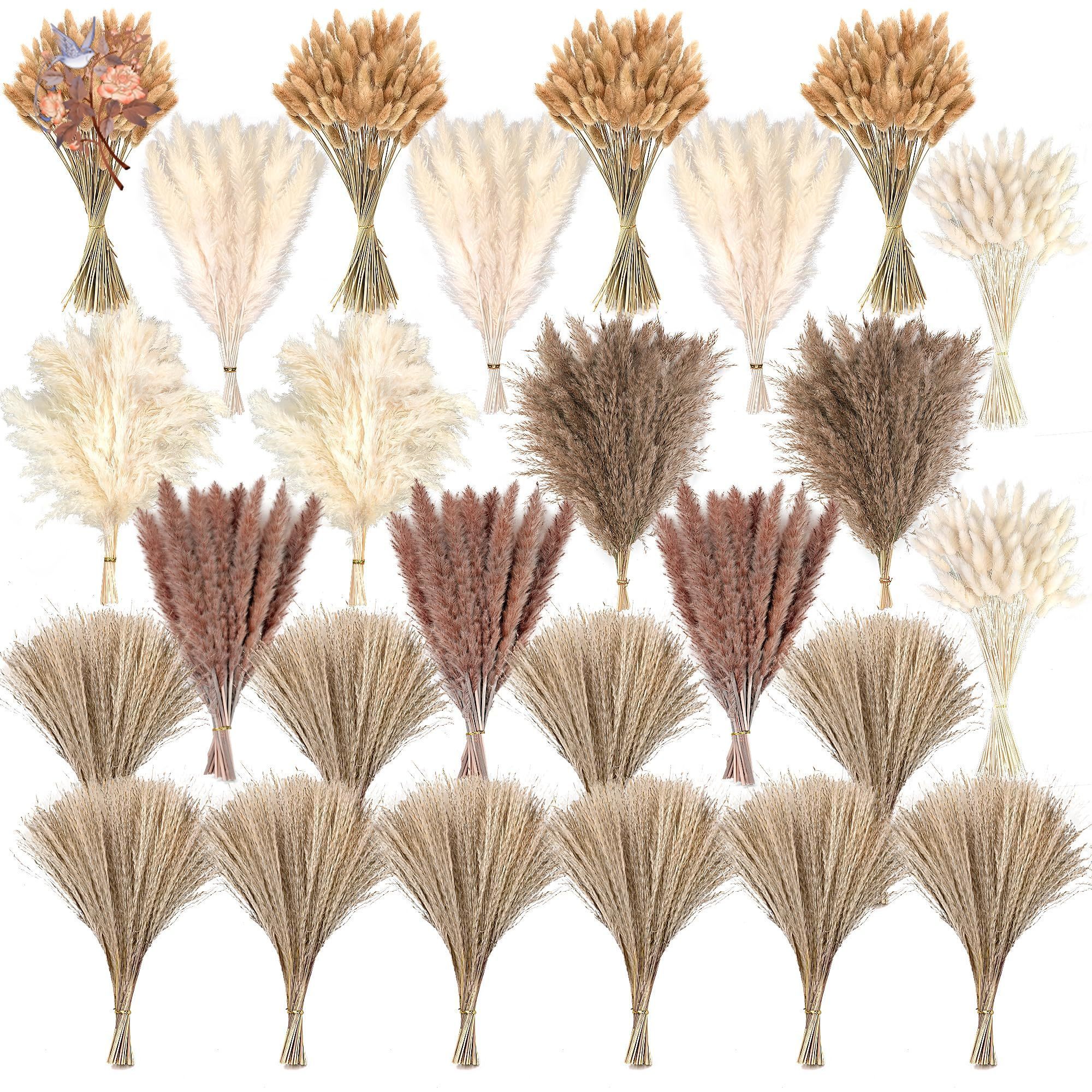 300Pcs Natural Large Pampas Gr - Pampas Grass Decor ulasan dan harga