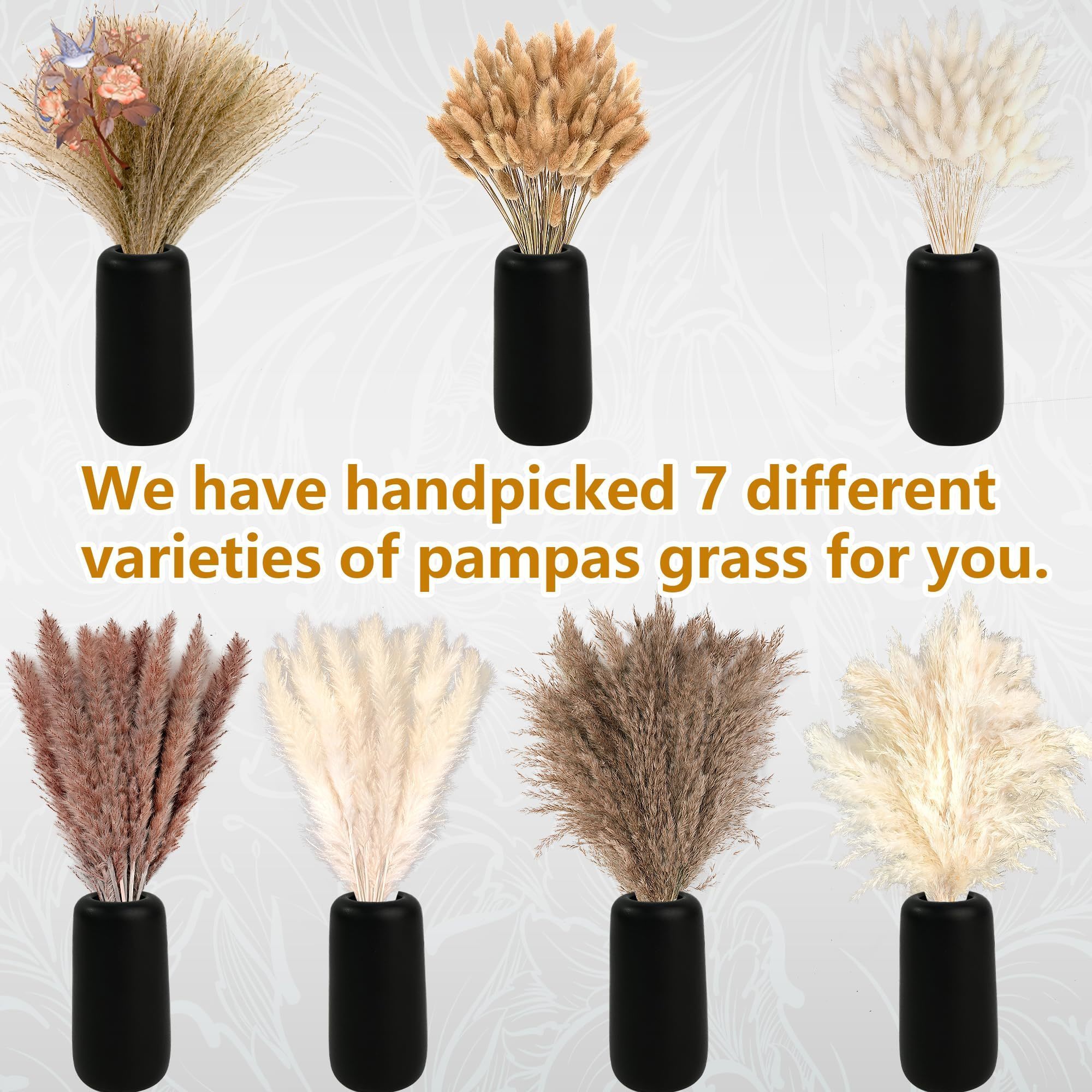 300Pcs Natural Large Pampas Gr - Pampas Grass Decor ulasan dan harga