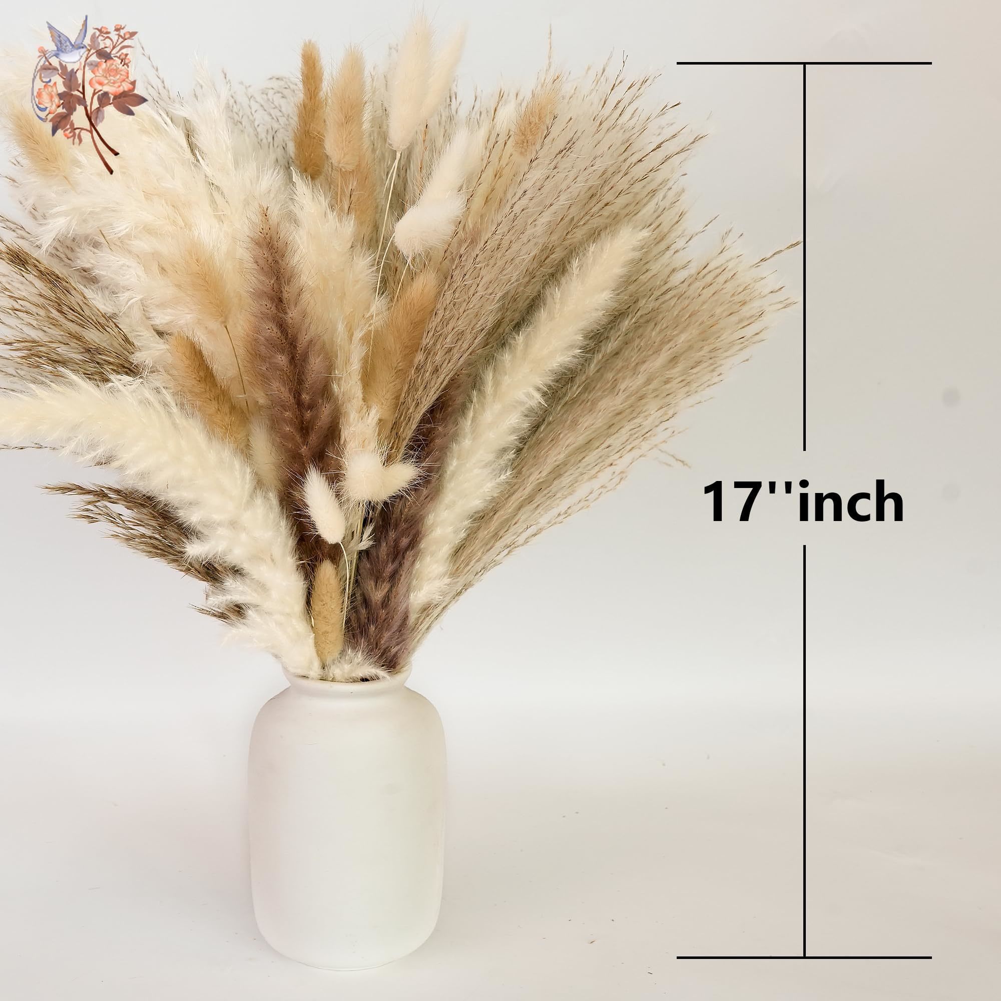 300Pcs Natural Large Pampas Gr - Pampas Grass Decor ulasan dan harga