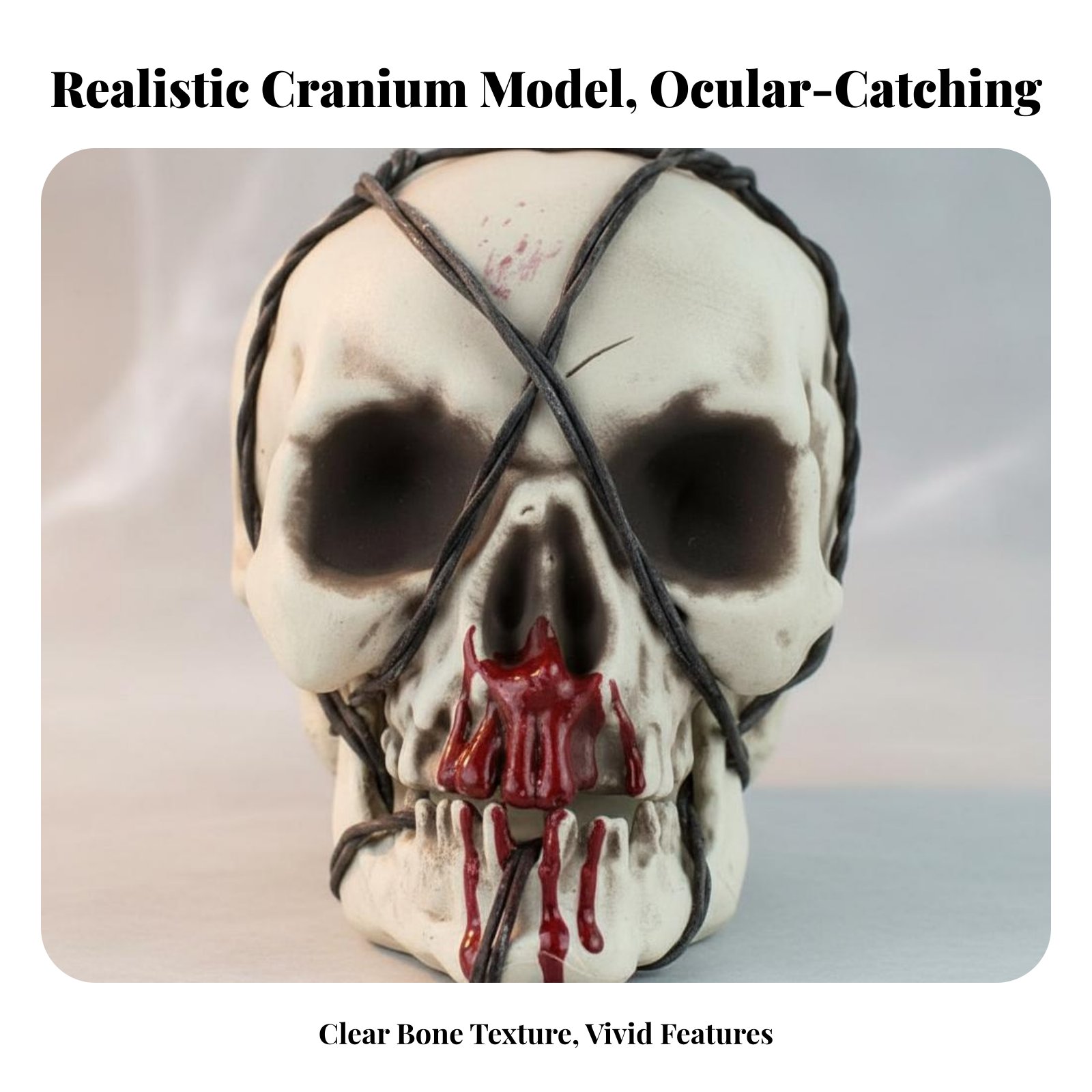 Realistic Skull Model Horror T - Home Decor You ulasan dan harga