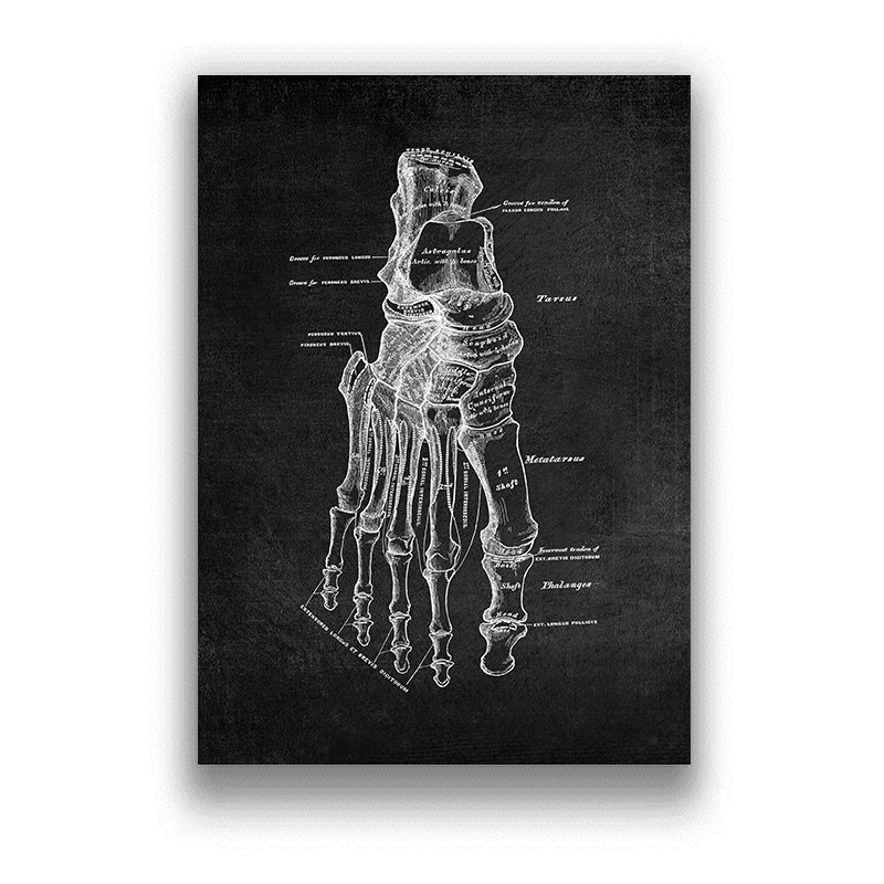 Brain Medical Print Human Head - Home Decor Brand ulasan dan harga