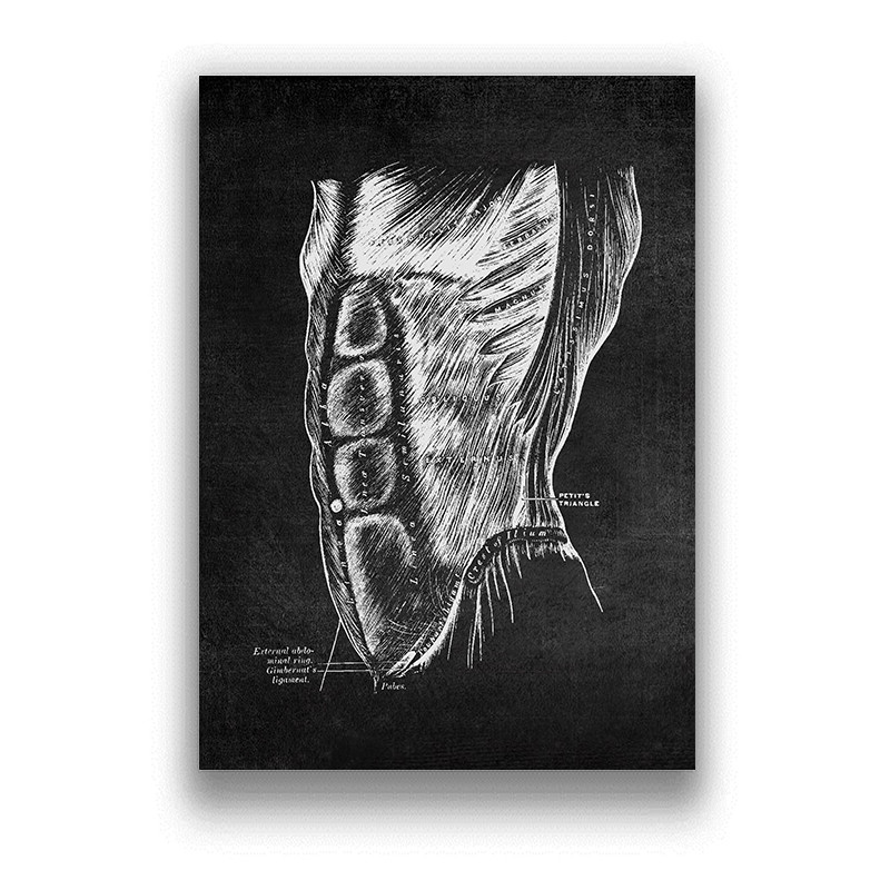 Brain Medical Print Human Head - Home Decor Brand ulasan dan harga